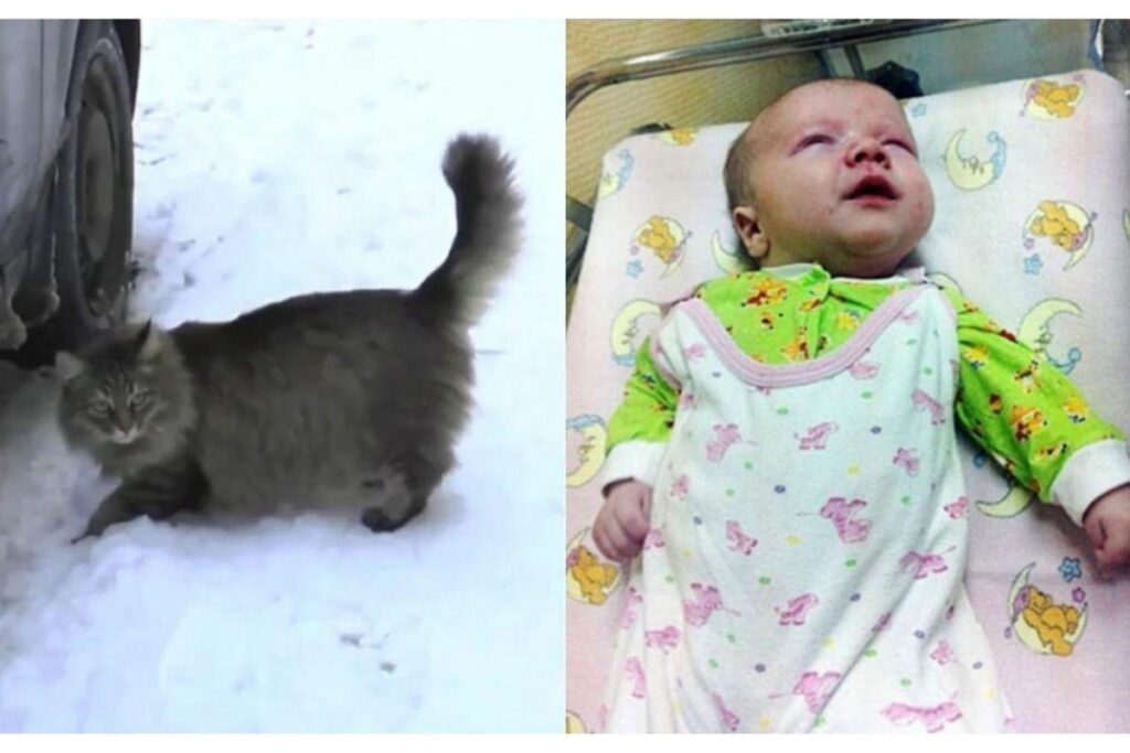 Masha é amiga da vizinhança