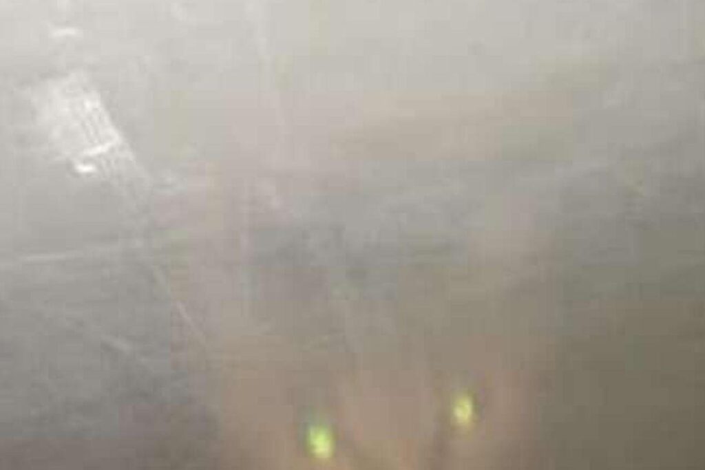 A gata Sis ficou presa debaixo da cama