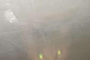 A gata Sis ficou presa debaixo da cama