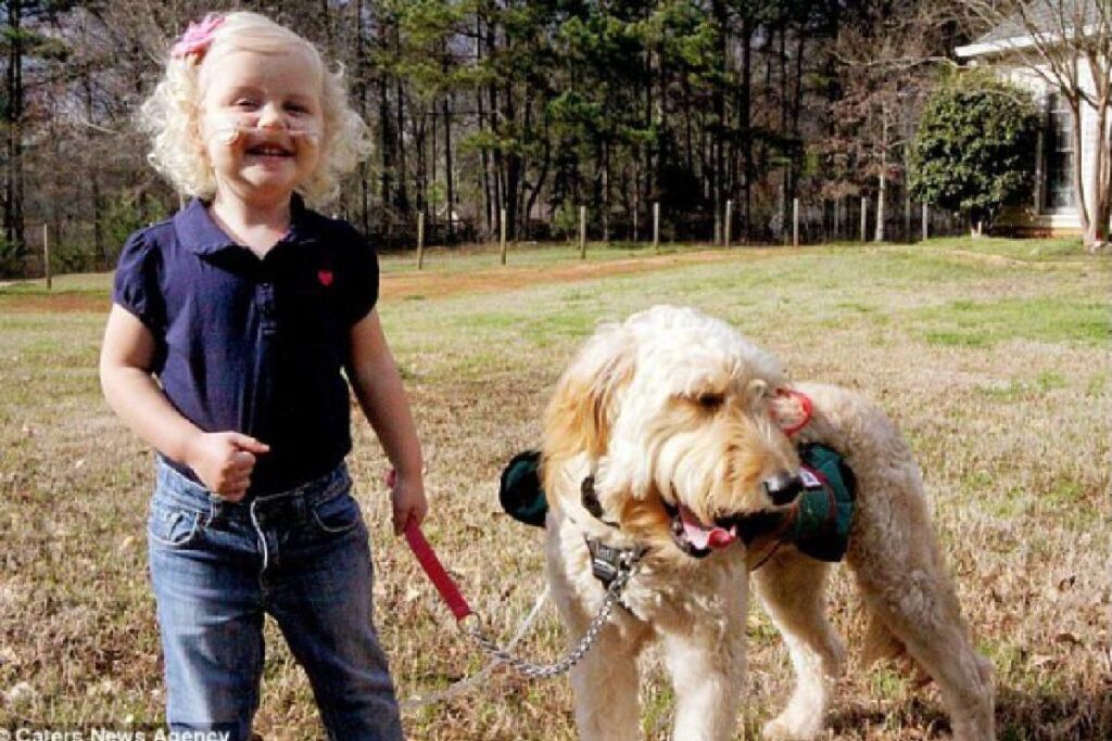O cachorro carrega o cilindro de oxigênio para Alida