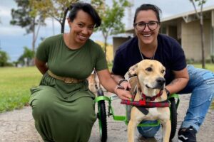 Sebastian ao lado da nova família