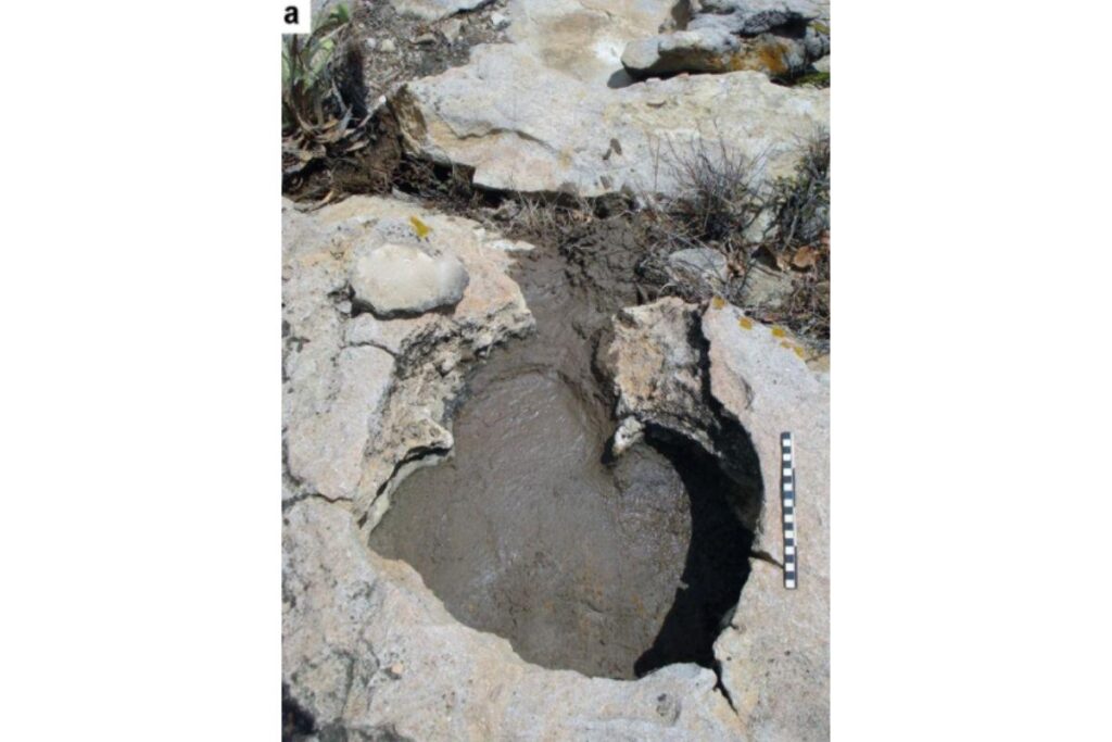 Registros dinossauros encontrados pela primeira vez no Rio Grande do Norte