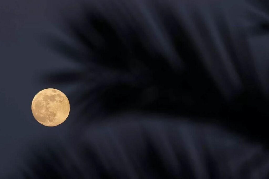 Novembro terá chuvas de meteoros e eclipse lunar