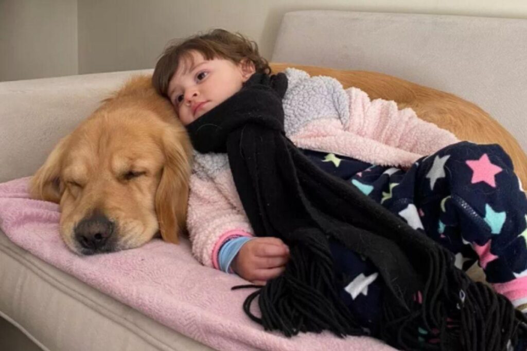 A pequena Clara e o cachorro, Buda