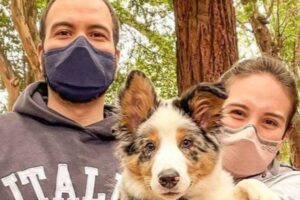 Casal nomeia cachorro com nome do app que se conheceram