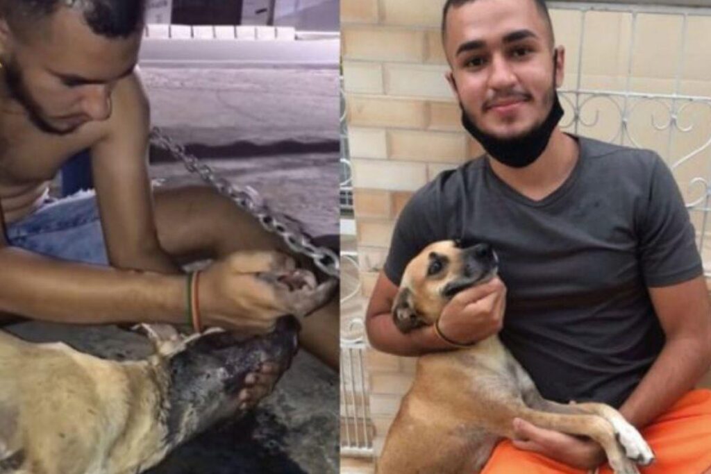 O salvamento de João Victor viralizou no TikTok