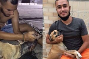 O salvamento de João Victor viralizou no TikTok