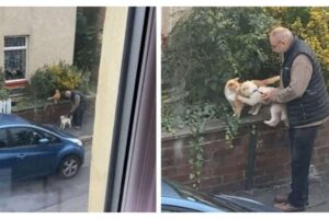 O idoso reuniu a dupla