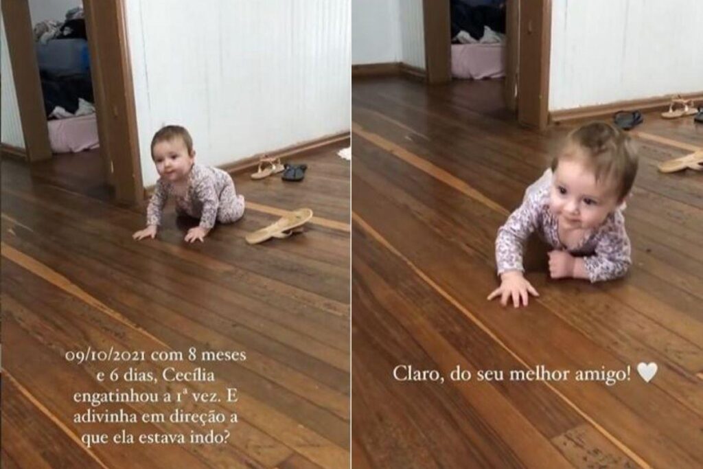 Mike é um golde retriever que foi resgatado pela família após sofrer maus tratos