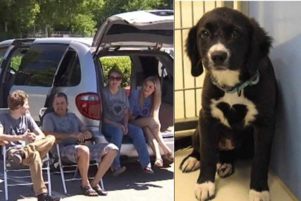 A cachorra tem um sinal de coração!