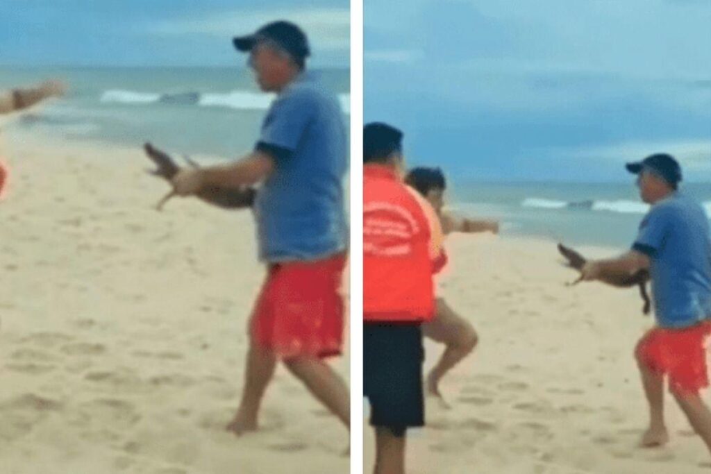 A briga aconteceu no Rio de Janeiro