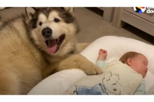 Phil encontrou uma melhor amiga!