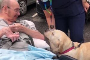Lawrence e Millie são melhores amigos e não se viam há 2 anos