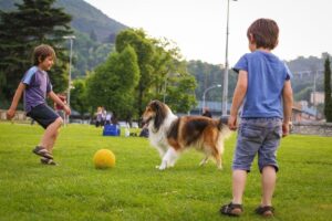 Pets reduzem o estress das crianças