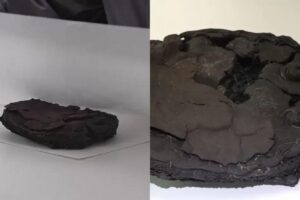 O bolo estava conservado!