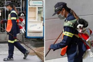 Gari faz passeio com cachorro