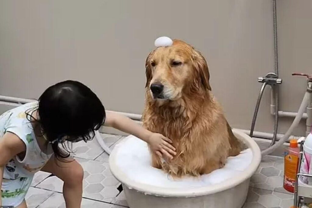 Jamie e Biscuit são melhores amigas!