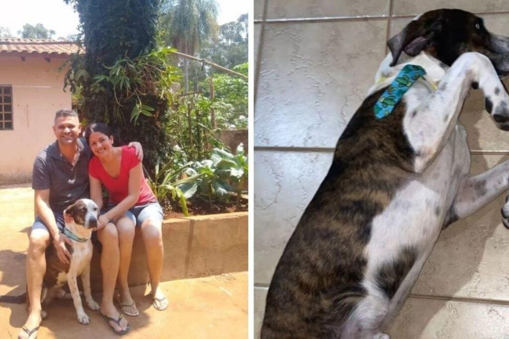 Vanessa publicou uma foto de Pepito nas redes