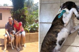 Vanessa publicou uma foto de Pepito nas redes