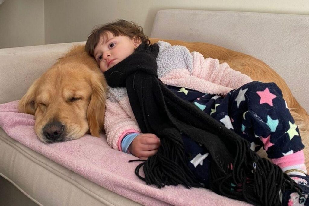 Cachorro Buda com a Clara no colo