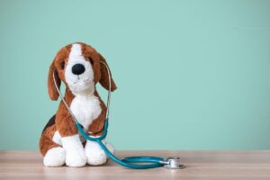 Cachorro ajuda crianças na vacinação