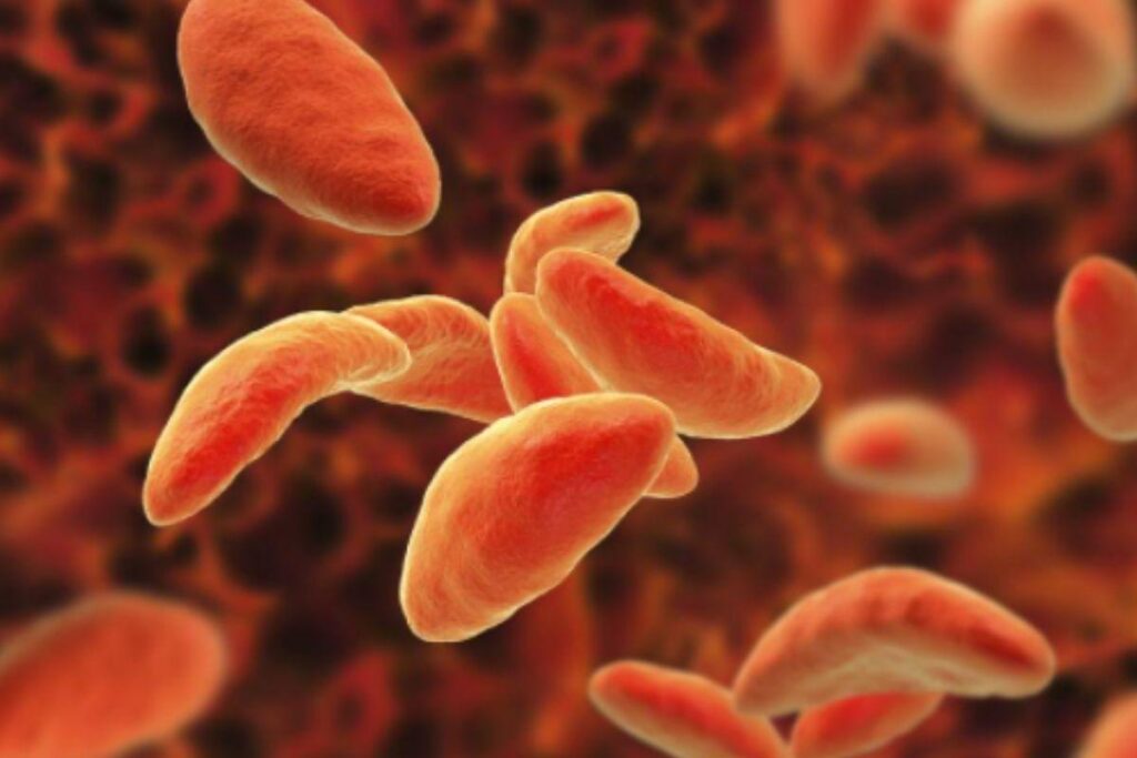 Cientístas criam meios para que o câncer não se espalhe