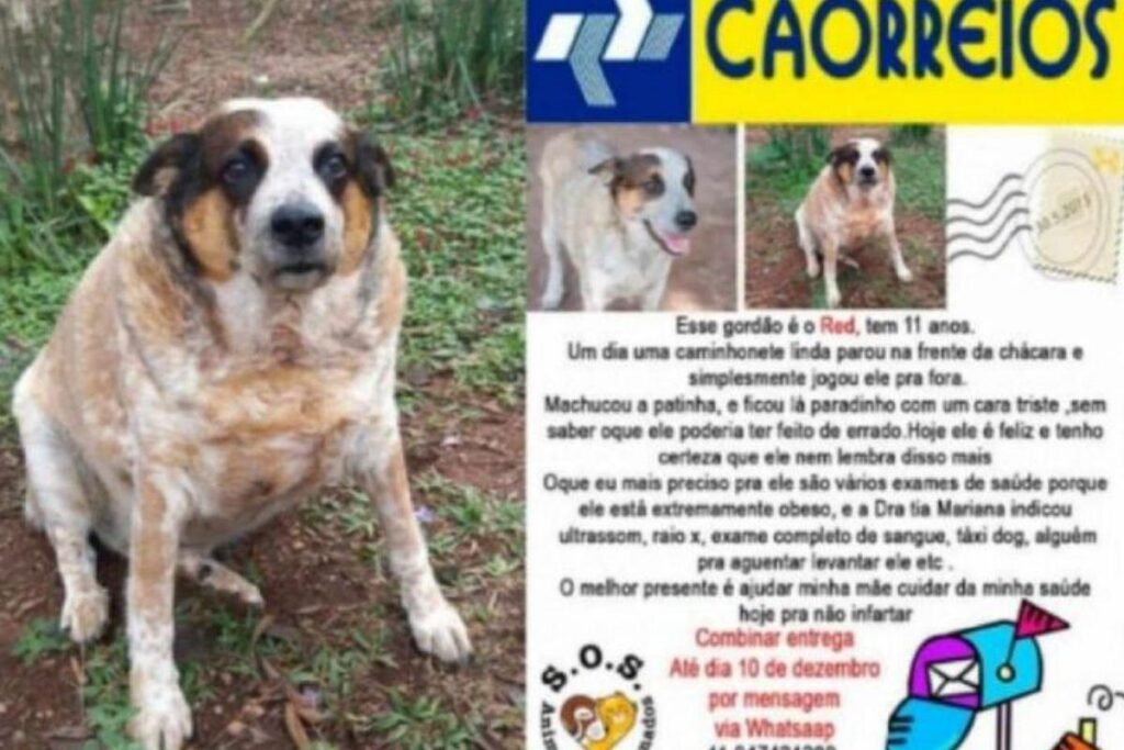 As cartas serão espalhadas pela cidade