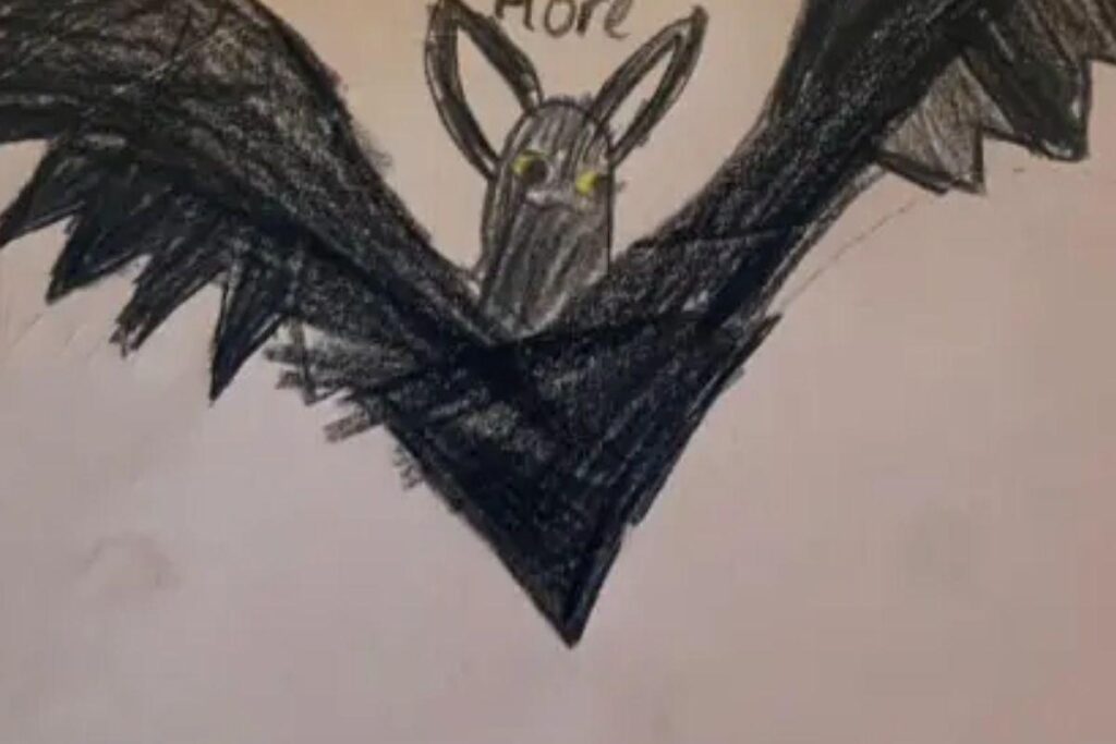 Menino desenha mãe como morcego