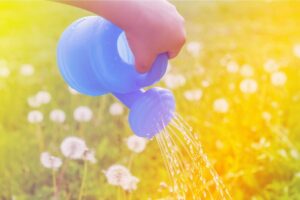 Ser sustentável faz bem para você e para o planeta