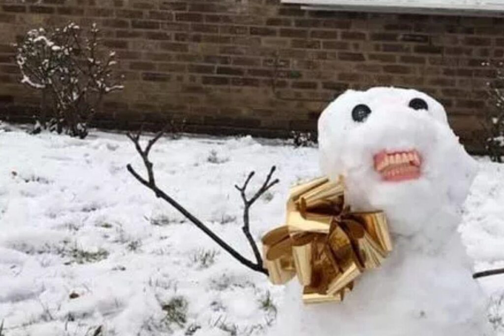 Crianças usam dentadura para colocar no boneco de neve no Reino Unido