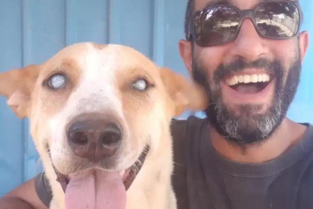 Cachorro Arafa, regatado pelo ativista Ahmed