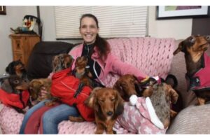 Ela contou que não mede esforços para os cães