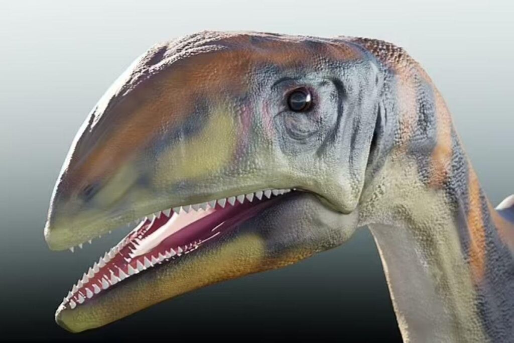 Cientistas descobrem nova espécie de dinossauro que chegou a atingir 13 metros de comprimento!