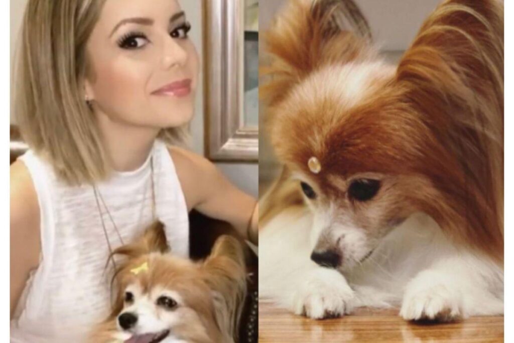 Sandy se despediu no Instagram