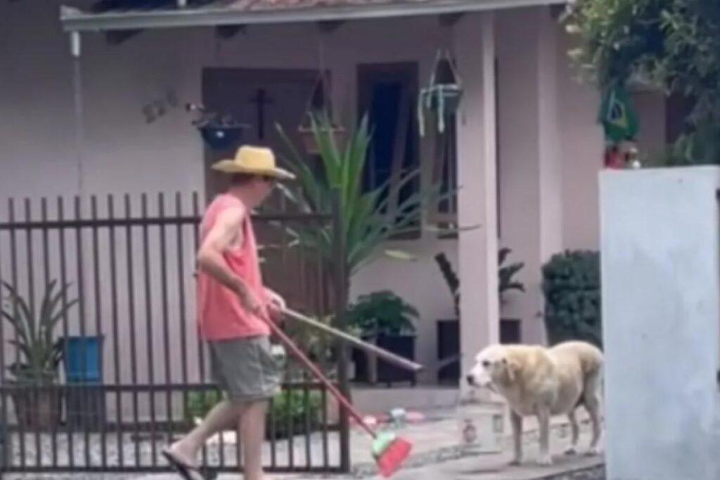 Cachorro ajuda dono na limpeza