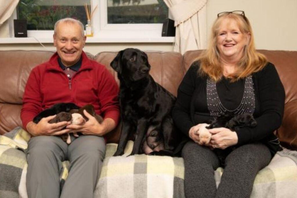 O caso da labradora com filhotes de cores diferentes foi considerado raro