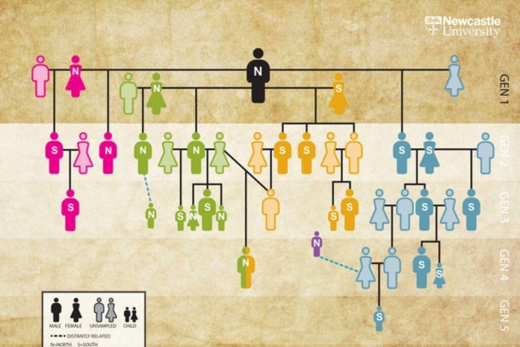 Cinco gerações de uma família