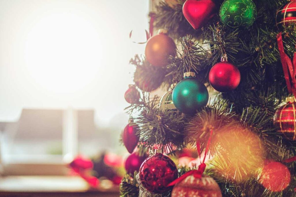 Mãe é criticada após não convidar enteado para o Natal: “Não é tão bem-sucedido como meus filhos”