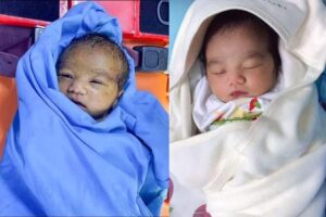 O bebê foi encontrado no meio da floresta