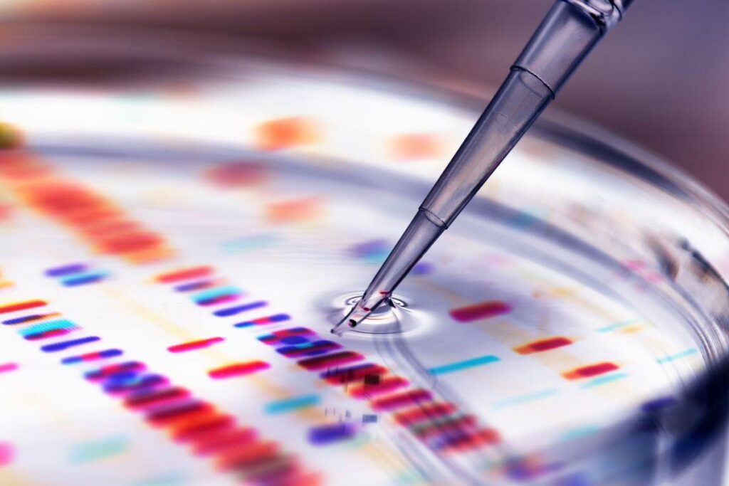 VeCare pode ser especialmente útil para pacientes com úlcera do pé diabético