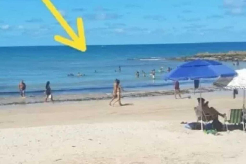 Os riscos de afogamento aumentam durante o verão, saiba como prevenir esse acidente