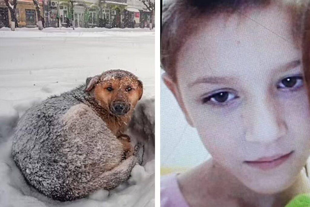 O cachorro salvou a vida de Vika