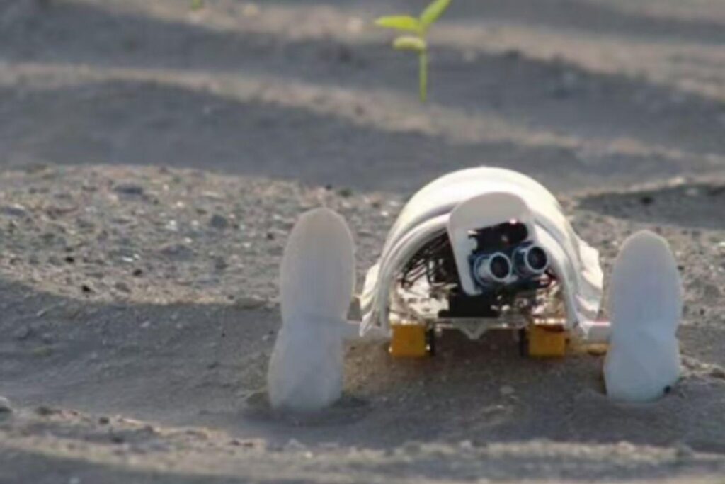 Robô que planta sementes no deserto