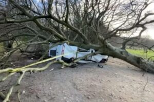 Menino é atingido por árvore em tempestade
