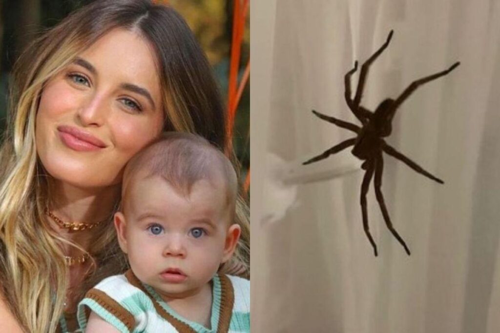 A aranha estava no berço do bebê