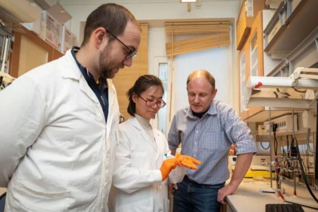 Robô permite que em poucos dias um osso artificial seja formado a partir de um osso de galinha