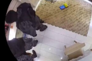 As imagens foram registradas por uma câmera instalada pelo próprio dono da casa após inúmeras invasões da polícia militar