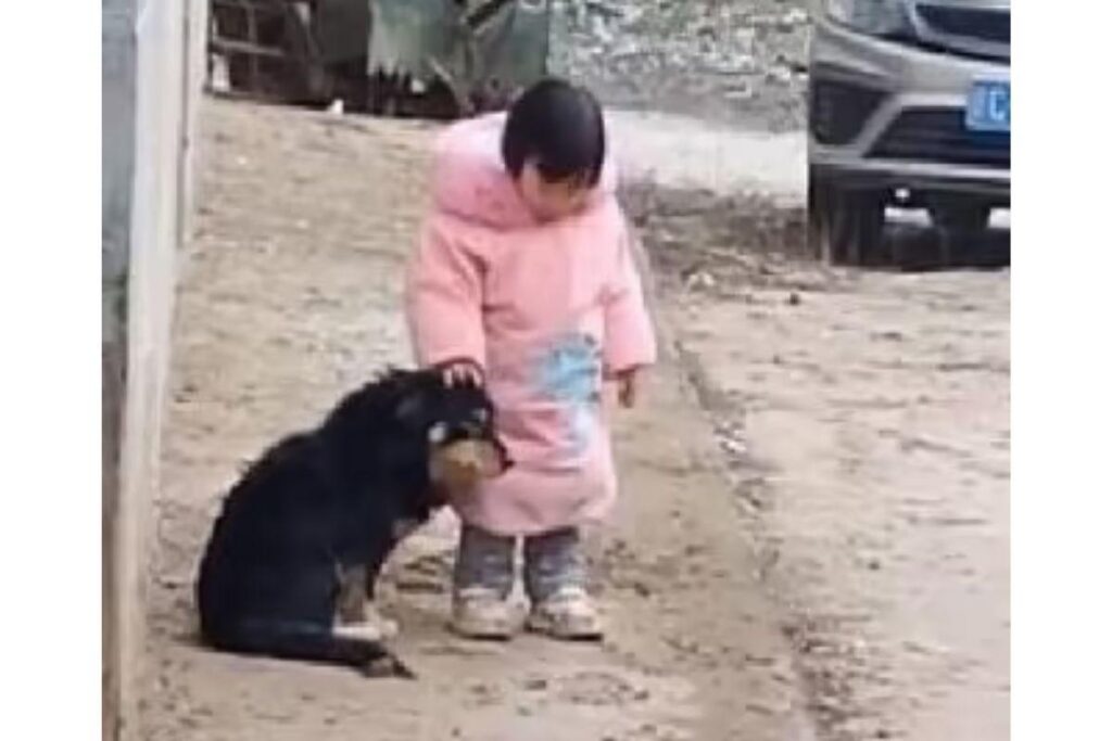 Menina de 2 anos viraliza ao tapar orelha de cachorro de rua para protegê-lo de fogos de artifício