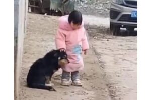 Menina de 2 anos viraliza ao tapar orelha de cachorro de rua para protegê-lo de fogos de artifício