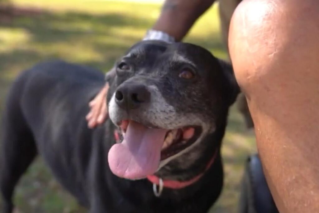 Harry falou do seu amor por Sarah, que está há nove anos da família